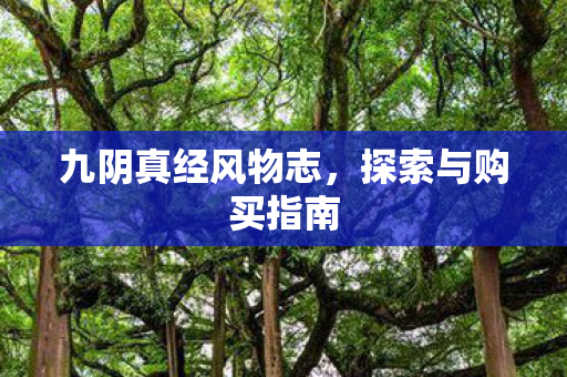 九阴真经风物志，探索与购买指南