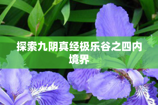 探索九阴真经极乐谷之四内境界