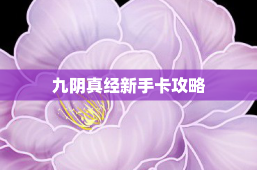 九阴真经新手卡攻略