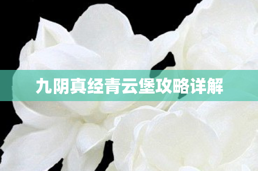 九阴真经青云堡攻略详解