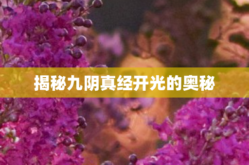 揭秘九阴真经开光的奥秘