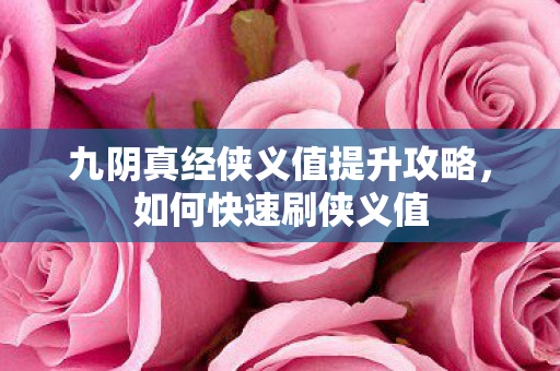 九阴真经侠义值提升攻略，如何快速刷侠义值