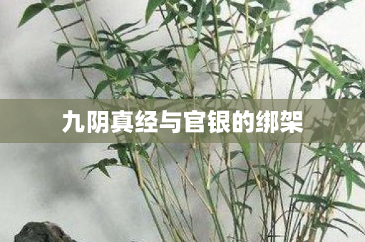 九阴真经与官银的绑架