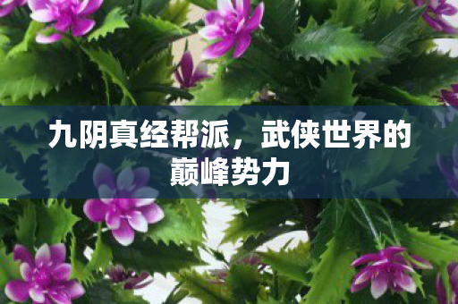 九阴真经帮派,武侠世界的巅峰势力 九阴真经帮派,武侠世界的巅峰势力