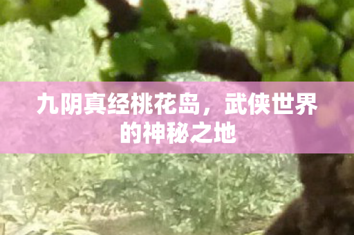 九阴真经桃花岛，武侠世界的神秘之地