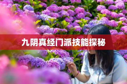 九阴真经门派技能探秘