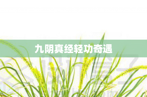 九阴真经轻功奇遇