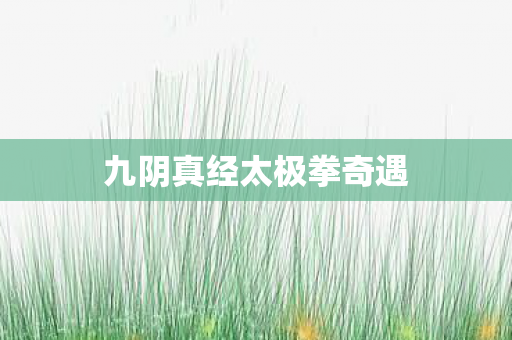 九阴真经太极拳奇遇