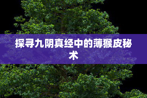 探寻九阴真经中的薄猴皮秘术