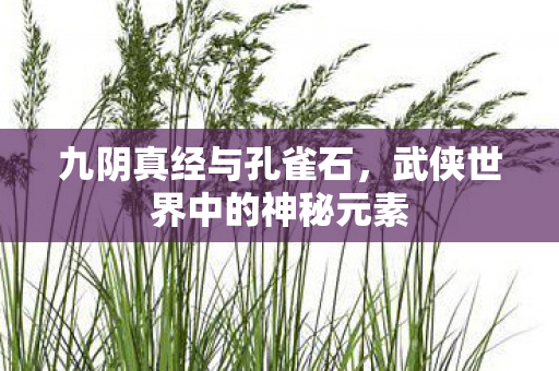 九阴真经与孔雀石，武侠世界中的神秘元素