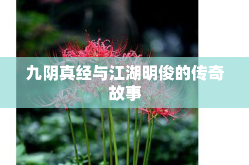 九阴真经与江湖明俊的传奇故事