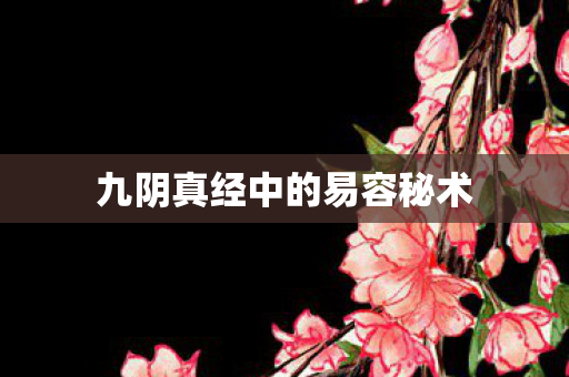 九阴真经中的易容秘术