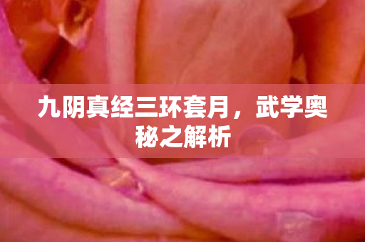 九阴真经三环套月，武学奥秘之解析