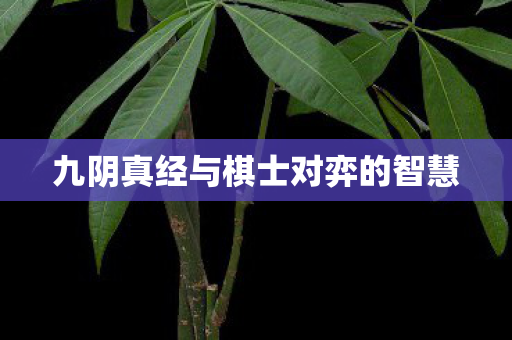 九阴真经与棋士对弈的智慧