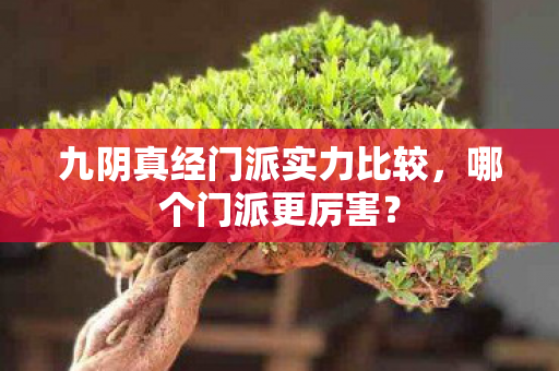 九阴真经门派实力比较，哪个门派更厉害？