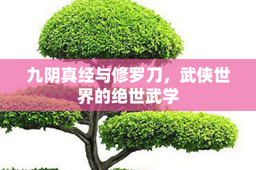 九阴真经与修罗刀，武侠世界的绝世武学