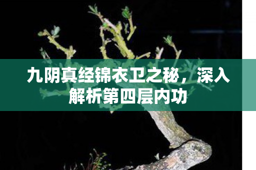 九阴真经锦衣卫之秘,深入解析第四层内功 九阴真经锦衣卫之秘,深入解析第四层内功