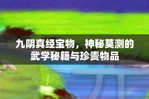 九阴真经宝物，神秘莫测的武学秘籍与珍贵物品