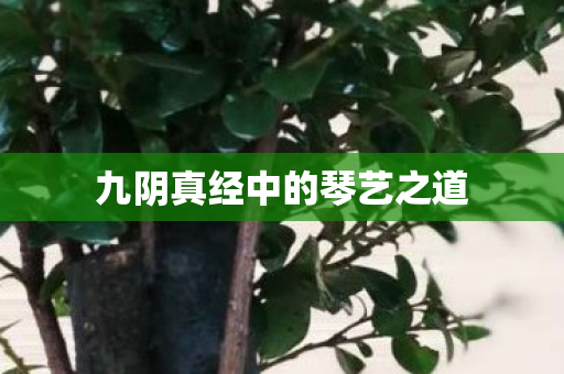九阴真经中的琴艺之道