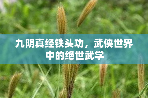 九阴真经铁头功，武侠世界中的绝世武学