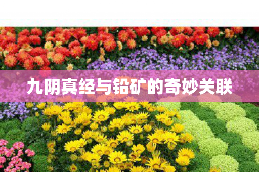 九阴真经与铅矿的奇妙关联