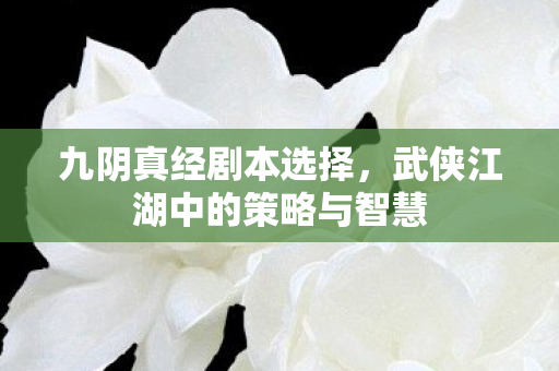 九阴真经剧本选择，武侠江湖中的策略与智慧