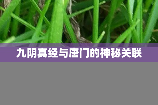 九阴真经与唐门的神秘关联