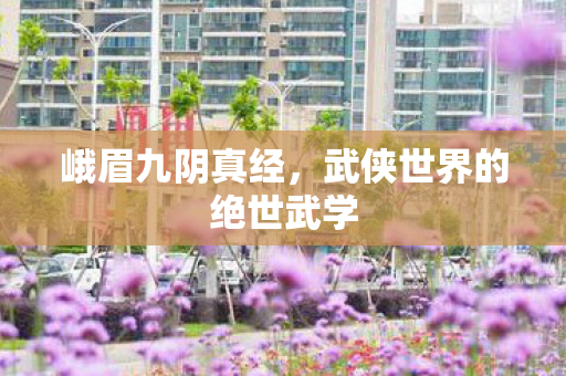 峨眉九阴真经，武侠世界的绝世武学