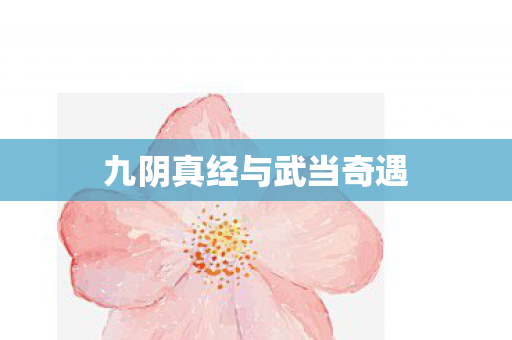 九阴真经与武当奇遇