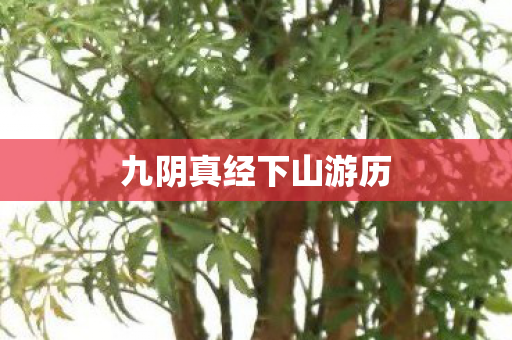 九阴真经下山游历