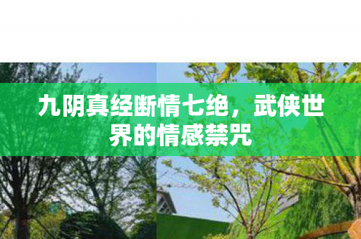 九阴真经断情七绝，武侠世界的情感禁咒