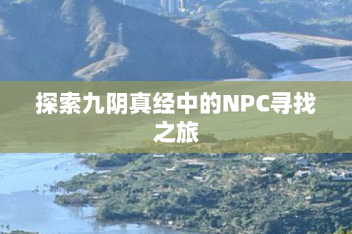 探索九阴真经中的NPC寻找之旅