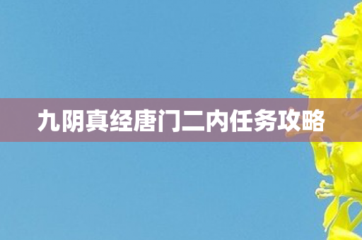 九阴真经唐门二内任务攻略