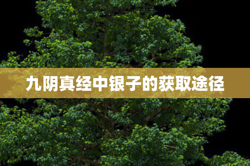 九阴真经中银子的获取途径 九阴真经中银子的获取途径