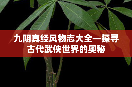 九阴真经风物志大全—探寻古代武侠世界的奥秘 九阴真经风物志大全—探寻古代武侠世界的奥秘
