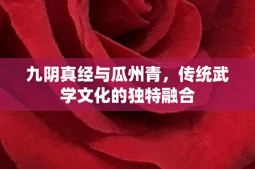 九阴真经与瓜州青，传统武学文化的独特融合