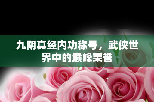 九阴真经内功称号，武侠世界中的巅峰荣誉