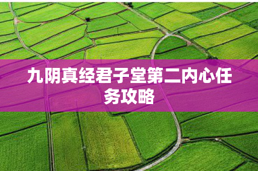 九阴真经君子堂第二内心任务攻略