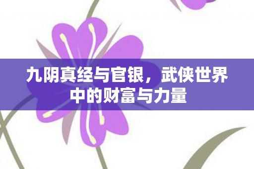 九阴真经与官银，武侠世界中的财富与力量