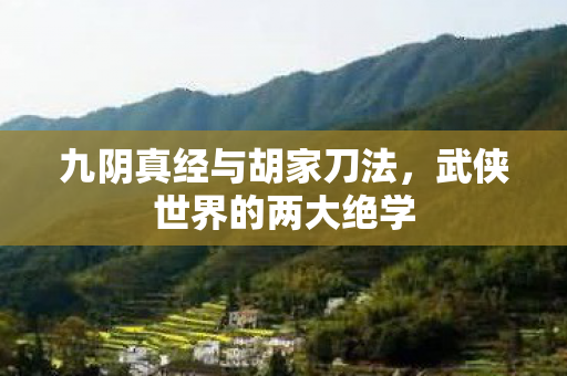 九阴真经与胡家刀法，武侠世界的两大绝学