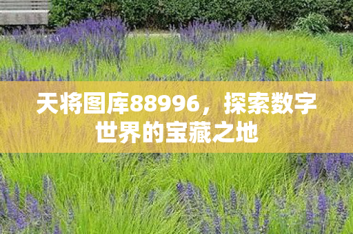 天将图库88996,探索数字世界的宝藏之地 天将图库88996,探索数字世界的宝藏之地