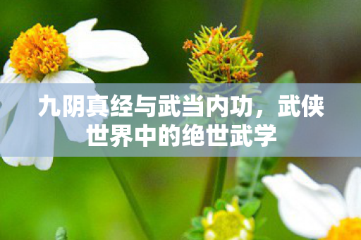九阴真经与武当内功，武侠世界中的绝世武学