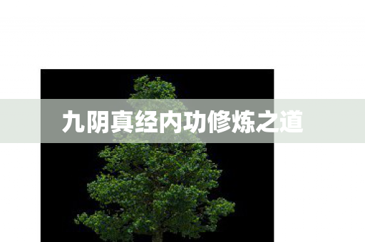 九阴真经内功修炼之道