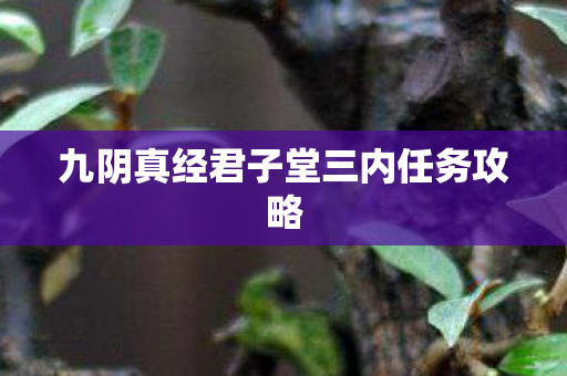 九阴真经君子堂三内任务攻略
