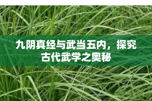 九阴真经与武当五内，探究古代武学之奥秘
