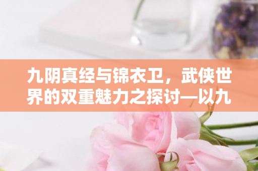 九阴真经与锦衣卫,武侠世界的双重魅力之探讨—以九阴真经锦衣卫2为中心 九阴真经与锦衣卫,武侠世界的双重魅力之探讨—以九阴真经锦衣卫2为中心