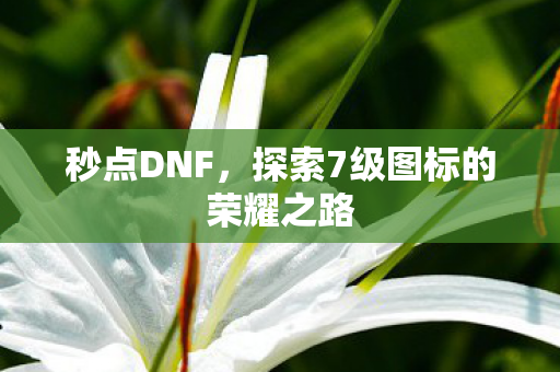 秒点DNF,探索7级图标的荣耀之路 秒点DNF,探索7级图标的荣耀之路