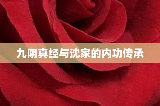九阴真经与沈家的内功传承 九阴真经与沈家的内功传承
