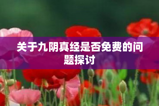 关于九阴真经是否免费的问题探讨