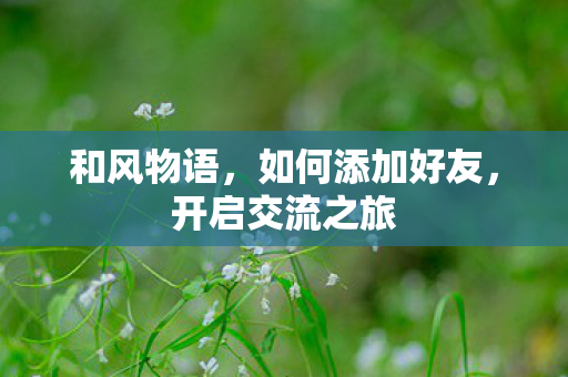 和风物语,如何添加好友,开启交流之旅 和风物语,如何添加好友,开启交流之旅
